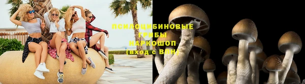 бошки Инсар