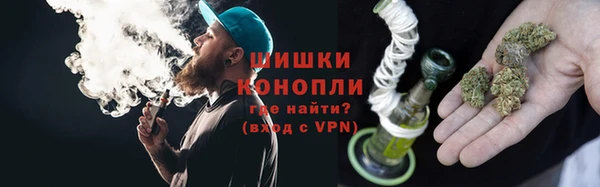 PSILOCYBIN Инта