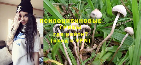 бошки Инсар