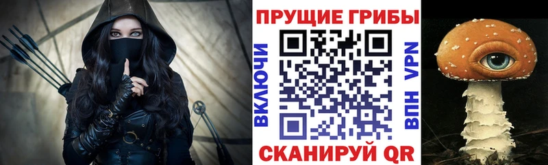 Купить  Грязи  Галлюциногенные грибы мицелий 